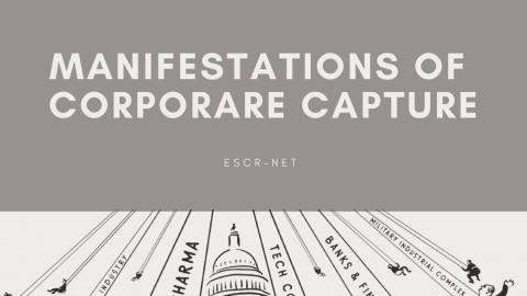 Manifestations of Corporate Capture