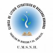 Clinica De Litigio