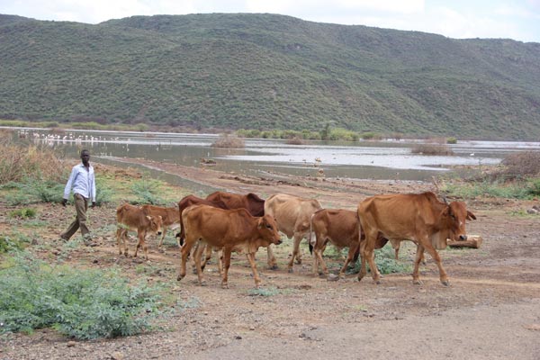 FILE PHOTO JARED NYATAYA NATION MEDIA GROUP