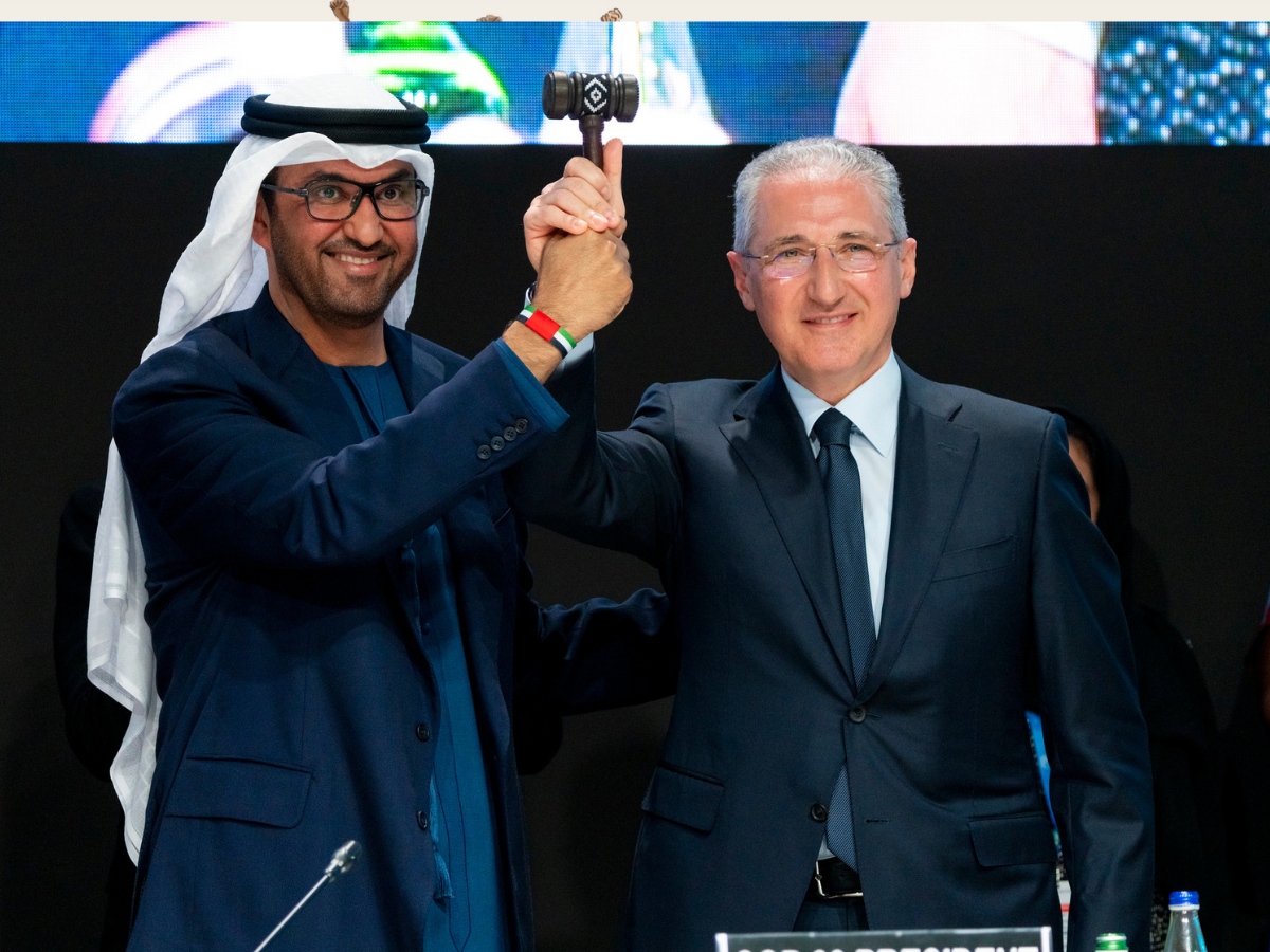 1200×900 – WEB IMAGES (4)